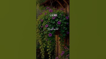 قال رب اشرح لي صدري....#قرآن #سورة #طه coran #quran an #islam #islamic