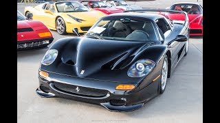 Our newest epic ferrari made an appearance at event i attended a
couple weeks back. was so happy to see new local black f50! one of
only 2 o...