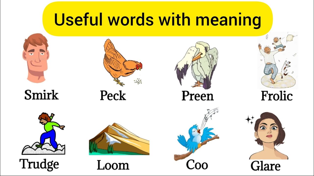 Daily Use English Words Unique Words English Words With Meaning 