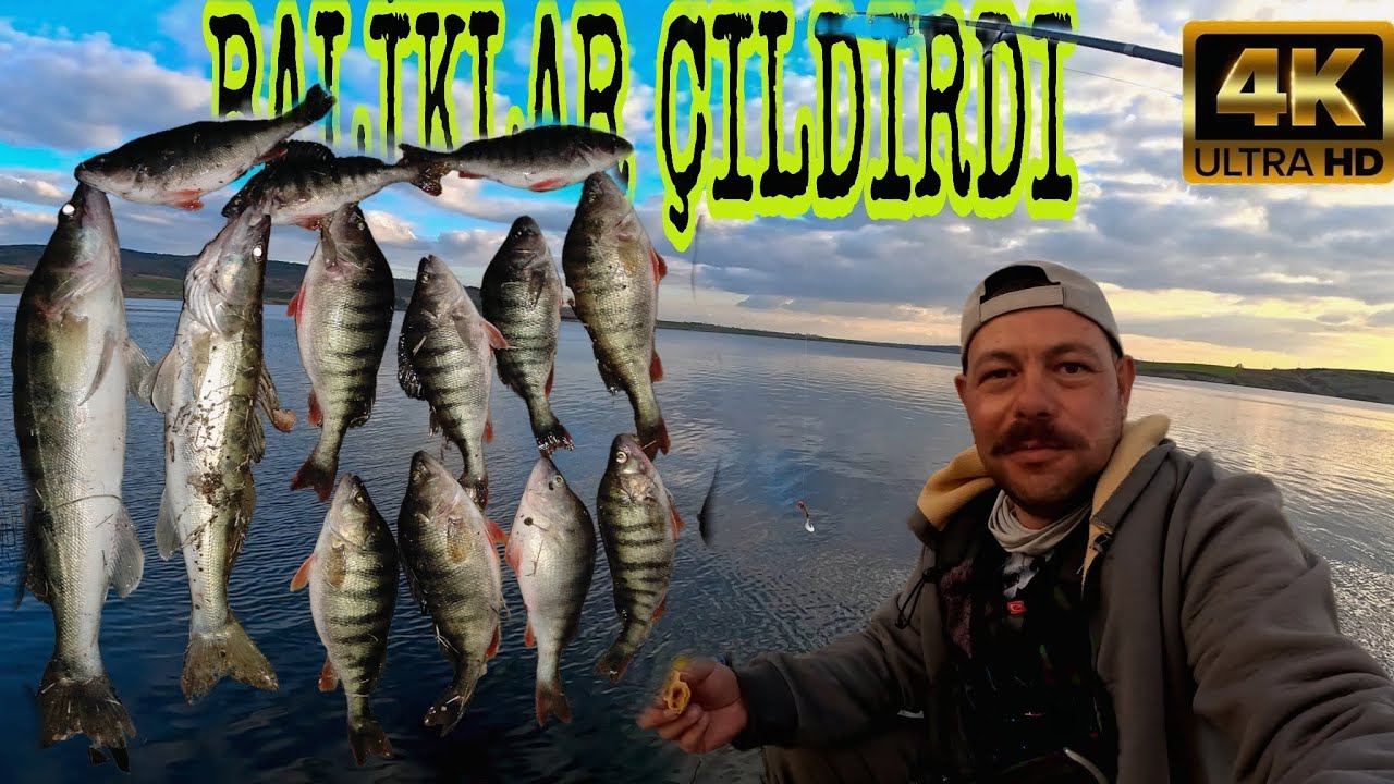 Trakya da Bal k Av Maceras Sudak Ve Tatl Su Levre i YouTube trakya-da-bal-k-av-maceras-sudak-ve-tatl-su-levre-i-youtube