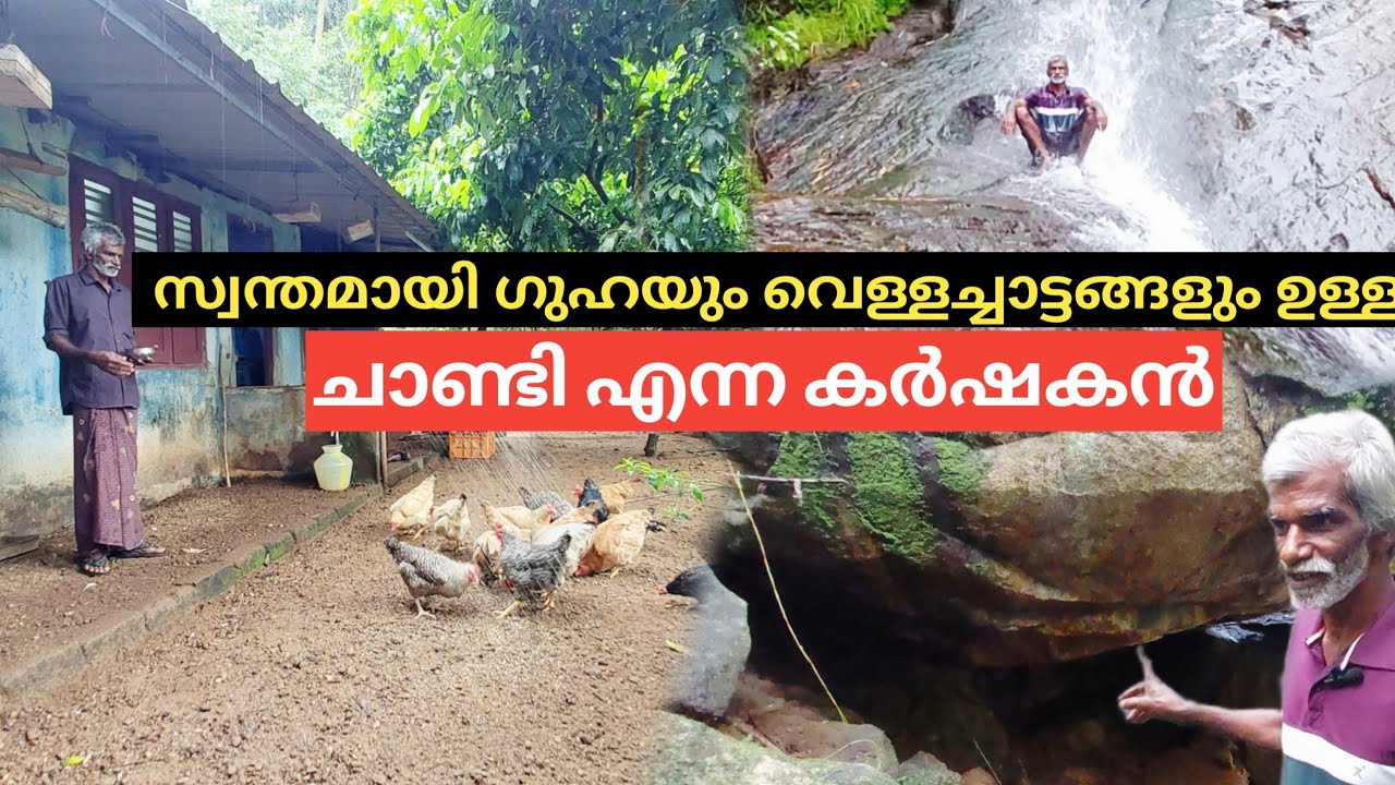 മൂലമറ്റത്തെ മലമുകളിൽ സ്വർഗ്ഗം തീർക്കുന്ന ചാണ്ടി ചേട്ടൻ | Variety Farmer from Moolamattom 