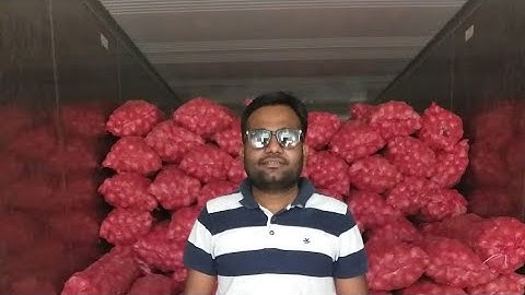 Quality Exim Exporting Quaint Onions