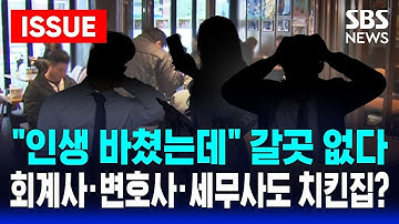 🔴"인생 바쳤는데 미래가 안 보인다" 전문직도 절규, 청년 고용률 