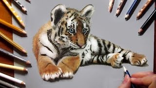 Pencil Drawing: Tiger Cub ❤ Speed Draw
