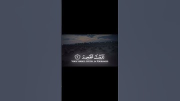 سورة التكاثر #yasseraldossary #ياسر_الدوسري #القرآن_الكريم #سورة_التكاثر