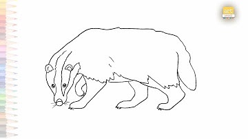 Badger drawing 03 | Animal easy drawings | How to draw A Badger drawing step by step | draw Outline