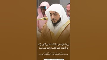 مقتطف من تلاوة فضيلة الشيخ د. #الوليد_الشمسان من صلاة الفجر 18 جمادى الأولى 1446هـ.