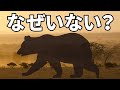 クマがアフリカ大陸にいない理由がこちら【解説】