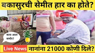 पजरवड मदनत कण झल 1 लख मनकर? Live Bailgada Share Rate Today