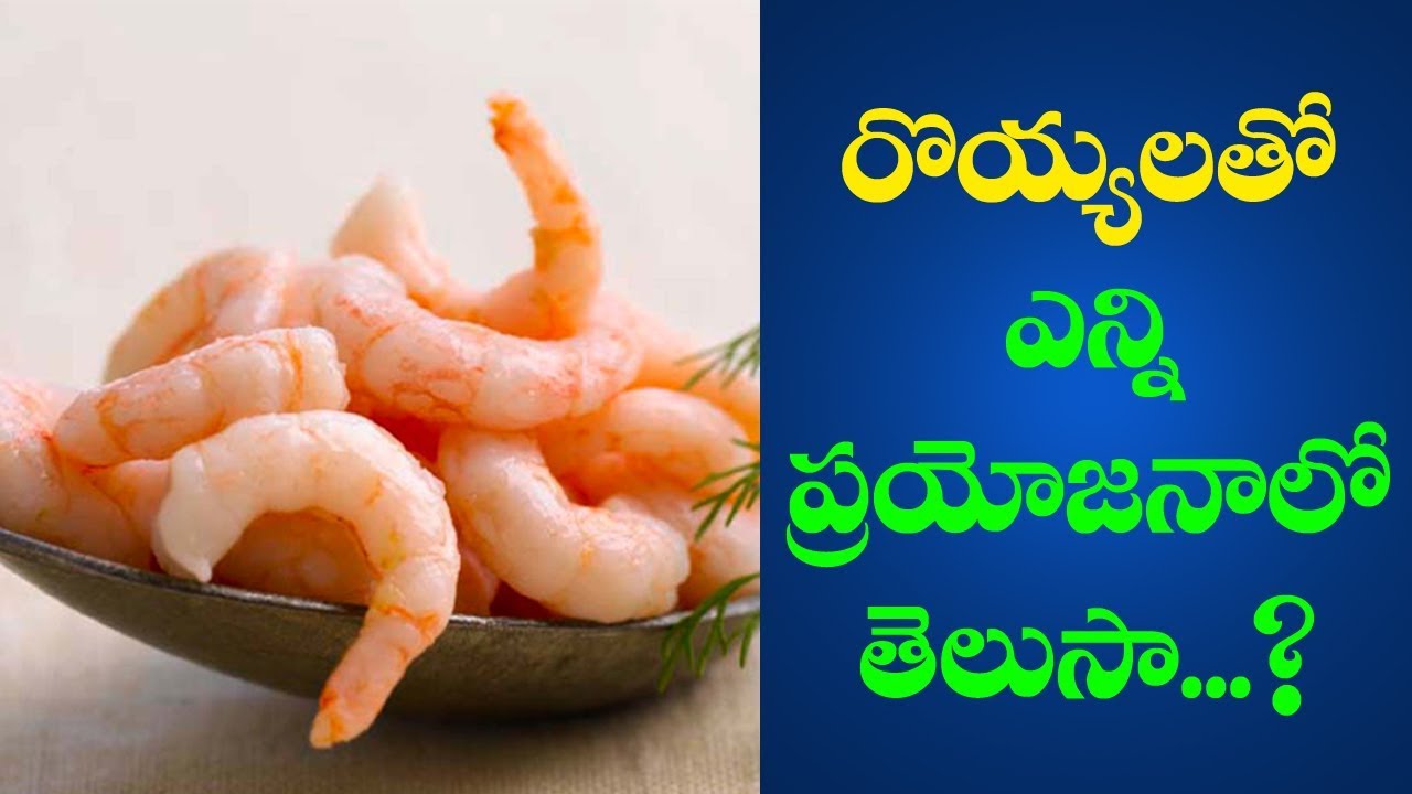 Advantages and Health Benefits of Eating Prawns రొయ్యలతో ఎన్ని