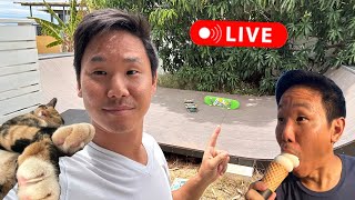 [LIVE] Backyard Skatepark Hangout & Live Trick Requests! @JasonParkSucks
