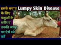 Lumpy Skin Disease के बचाव के लिए पशुओं के शरीर व जगह पर कौनसे स्प्रे का उपयोग करें