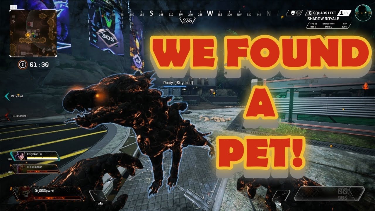 We Found A Pet Prowler Apex Legends Shadow Royale Mode Tips Gameplay Youtube