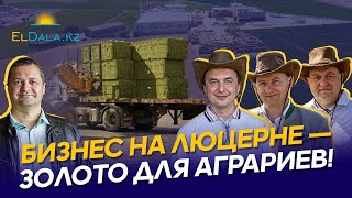 :      : , ,    | APEHF