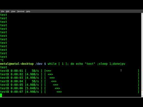 BASH progress bar with pv