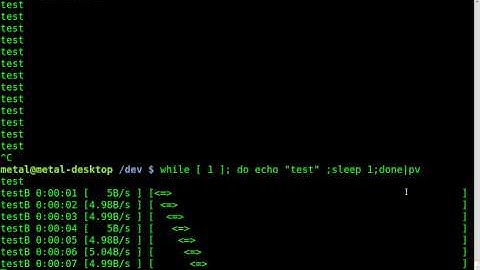BASH progress bar with pv