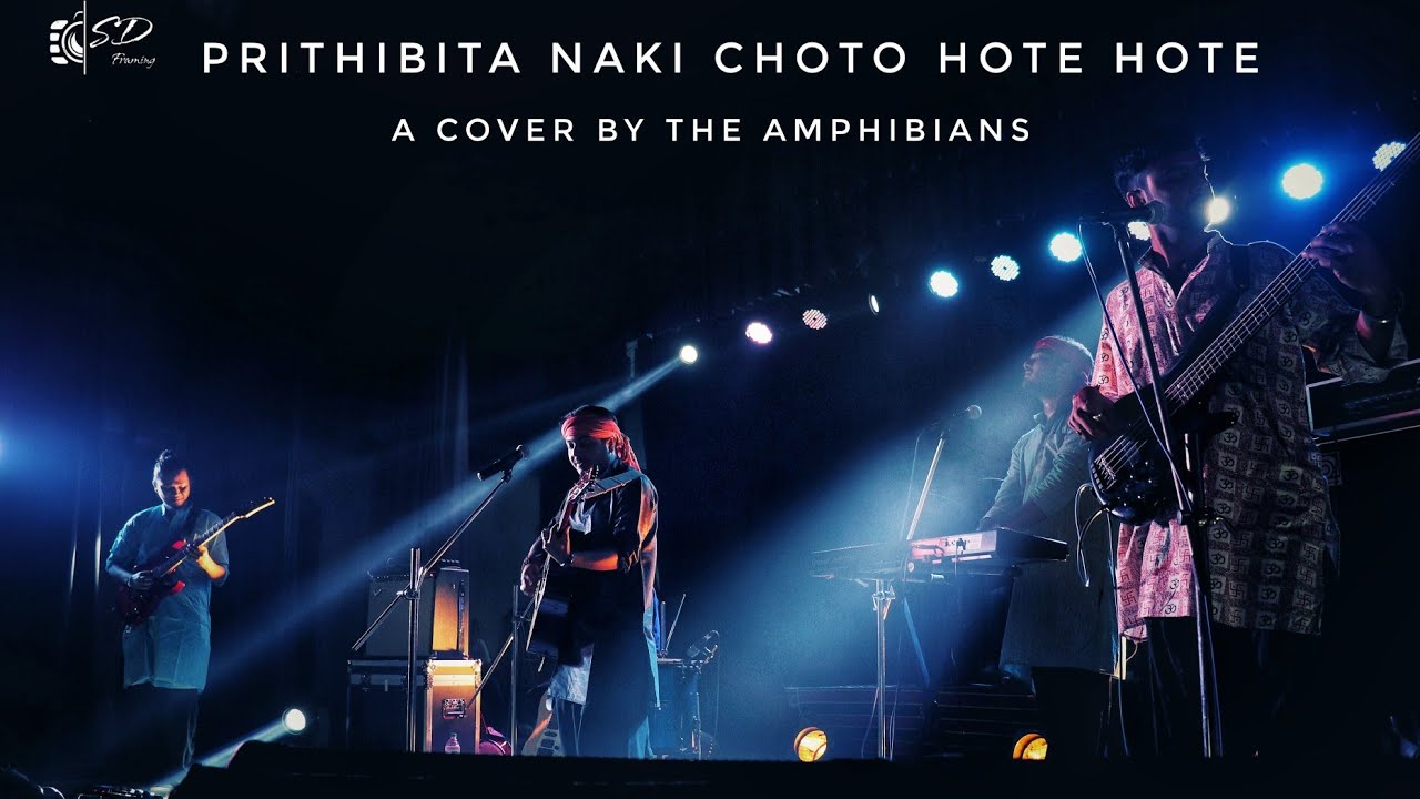 bengali song dj PRITHIBITA NAKI || The Amphibians || cover song ||