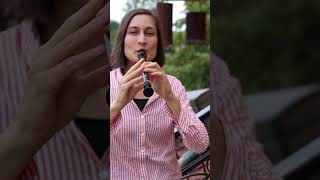 Pippi Longstocking Theme Song On Recorder