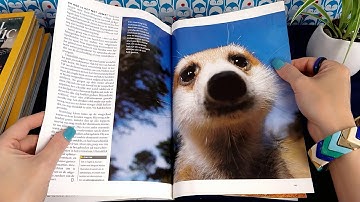 ASMR 1 Hour of Steady Page Turning • National Geographic Magazines • No Talking