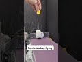 #tea #teabag #fly #oddlysatisfying #sandingshit #LikeAMonarch 