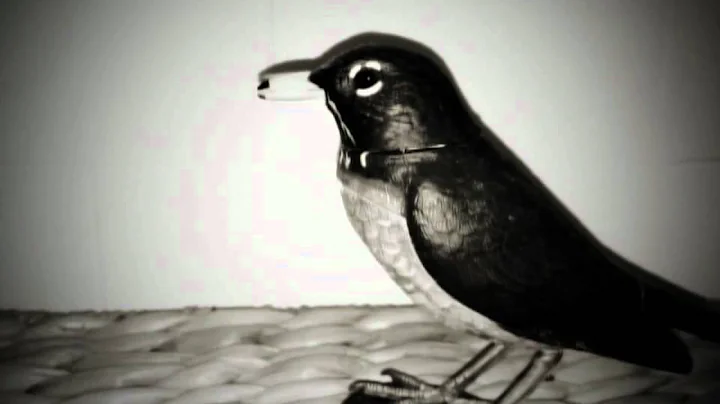Robin In Profile