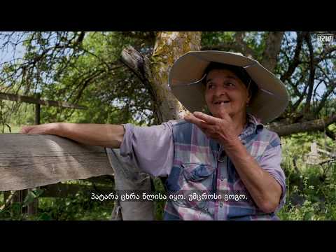 როგორ დაიცალა ოსური სოფლები? | გუჯარეთის ხეობა, 1991 წელი