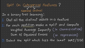 How does a Decision Tree split on categorical features?