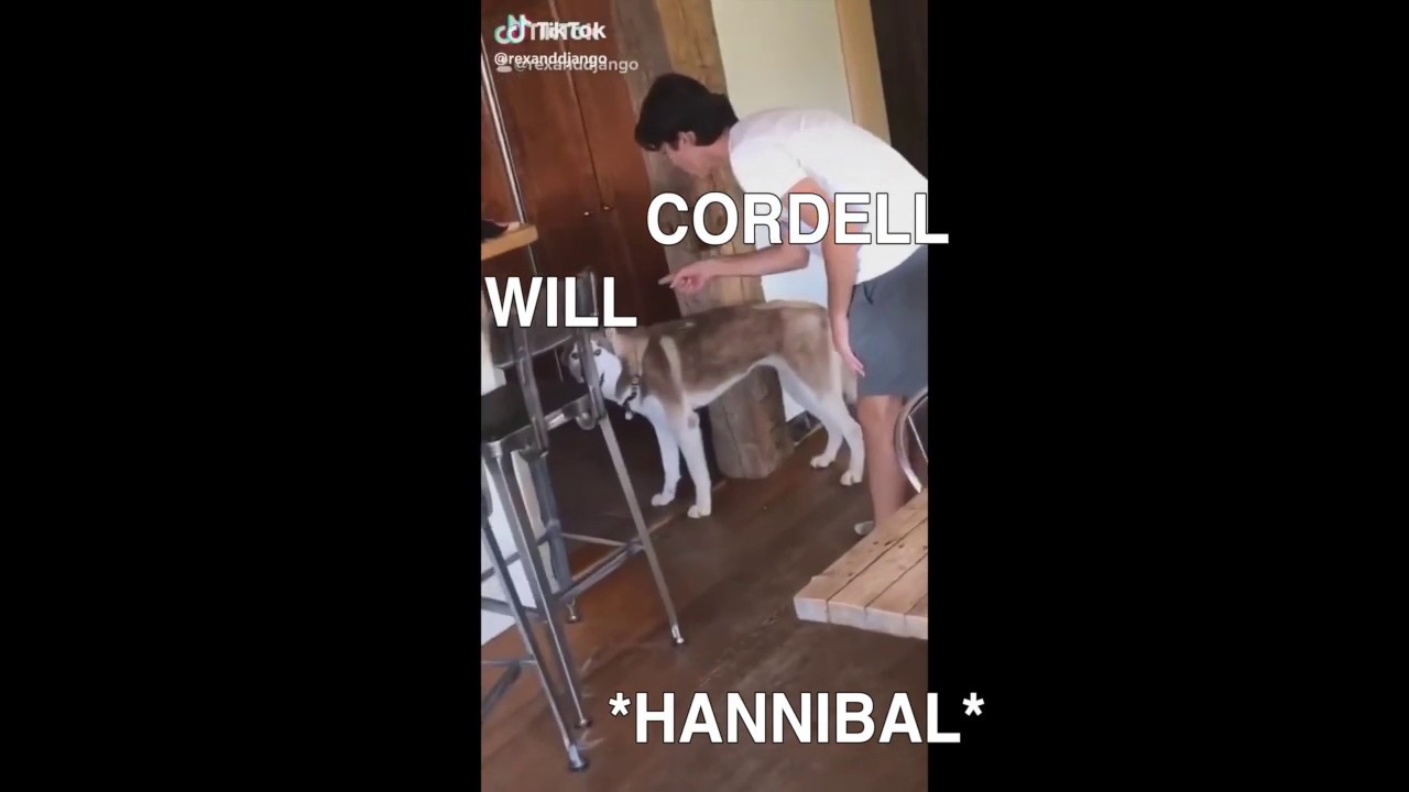 nbc hannibal as vines: tiktok edition