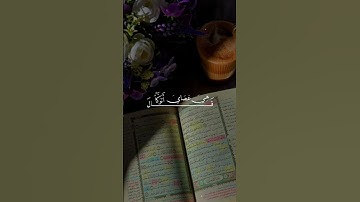 تلاوة هادئة 🌱🤍#القرآن_الكريم #تلاوات #تلاوة_خاشعة #راحة_نفسية #فلسطين #قضيتنا_فلسطين #allah #الله