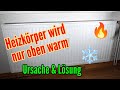 Heizung wird nur oben warm - Heizkörper wird nur zur Hälfte warm - Das ist der Grund und die Lösu