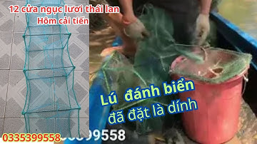 12 cửa ngục - lú thái lan hôm cải tiến khung 23 x 37, đánh biển