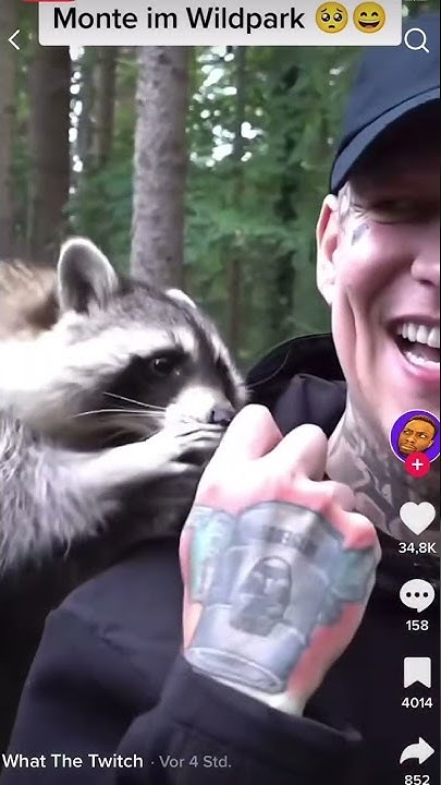 MONTANABLACK IM WILDPARK *FÜTTERT TIERE* YouTube