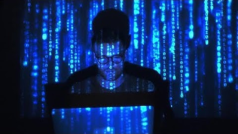 Programmer Stock Video