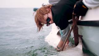 Expedition Mid Atlantic: Ultrasound