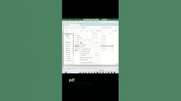 PDF dosyasını Excel