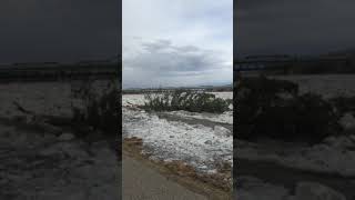North Saskatchewan River Ice Break By Beautiful Prince Albert Downtown - Tree Delivered