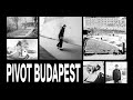 Pivot skateshop in budapest  solo