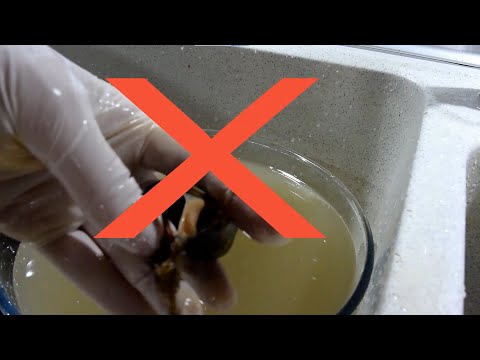 Βίντεο: Πρέπει τα μύδια να είναι ανοιχτά όταν τα αγοράζετε;