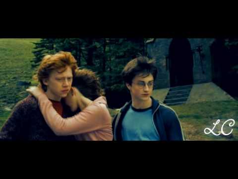Harry Potter (the trio) - Invincible (Merry Christmas Andrea!)