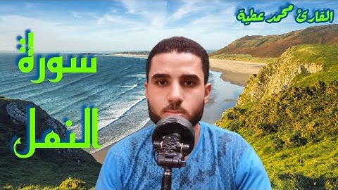 تلاوة مرئية || من سوره النمل 🎤 || القارئ محمد عطية From the ant wall.