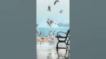 #اذكار_الصباح #اذكار #اذكار_الصباح_المساء #اذكار_المسلم #اذكار_اسلامية #اذكار_اسلامية #اذكار 🤲🤲🤲🤲