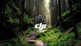 DJI AVATA Stunning FPV drone footage in the Forest
