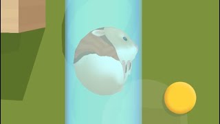 ‎‎Hamster Maze - All Levels Gameplay Android, iOS screenshot 3