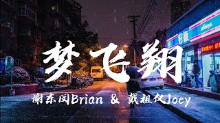 謝東閔Brian/戴祖儀Joey - 夢飛翔（劇集”那些我愛過的人”插曲）【♪ 動態歌詞Lyrics ♪】