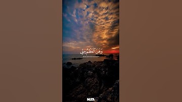 قَالَ رَبِّ إِنِّي وَهَنَ الْعَظْمُ مِنِّي #الشيخ_المنشاوي #quran #تلاوة_خاشعة #المنشاوي