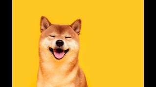 Completely Serious Video Because I Am An Adult Who Pays Taxes 18