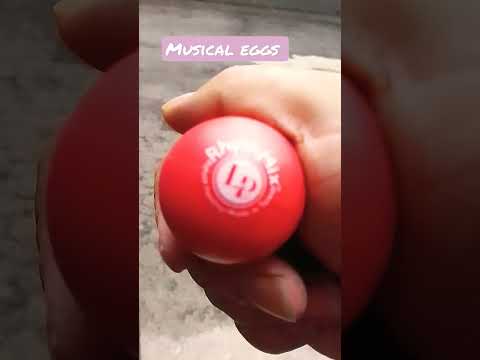 Uova musicali, musical