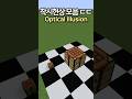 Minecraft Optical Illusions 😯🤔 #minecraft #shorts #마인크래프트