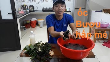 Ốc Bươu Hấp Mẻ Siêu Ngon | Cách Hấp Ốc Bươu Với Mẻ Thơm Ngon Cực Đơn Giản  | Cao Cường Vlog
