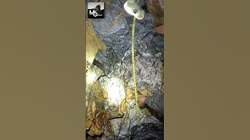 Mineable Quartz Vein #undergroundmining #goldmining